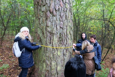 RAJD  WOK&Oacute;Ł JEZIORA KAMIENNY MOST
